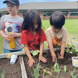 Kindergarten Students Learning to garden