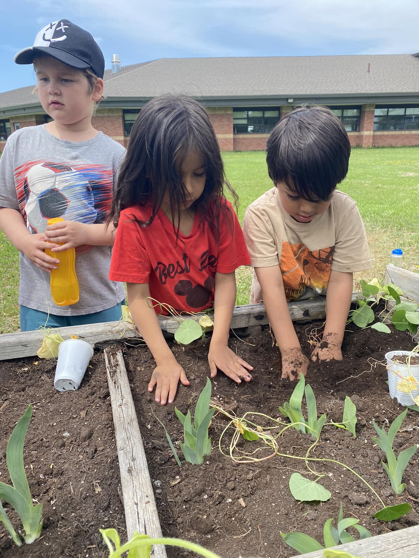Students gardening