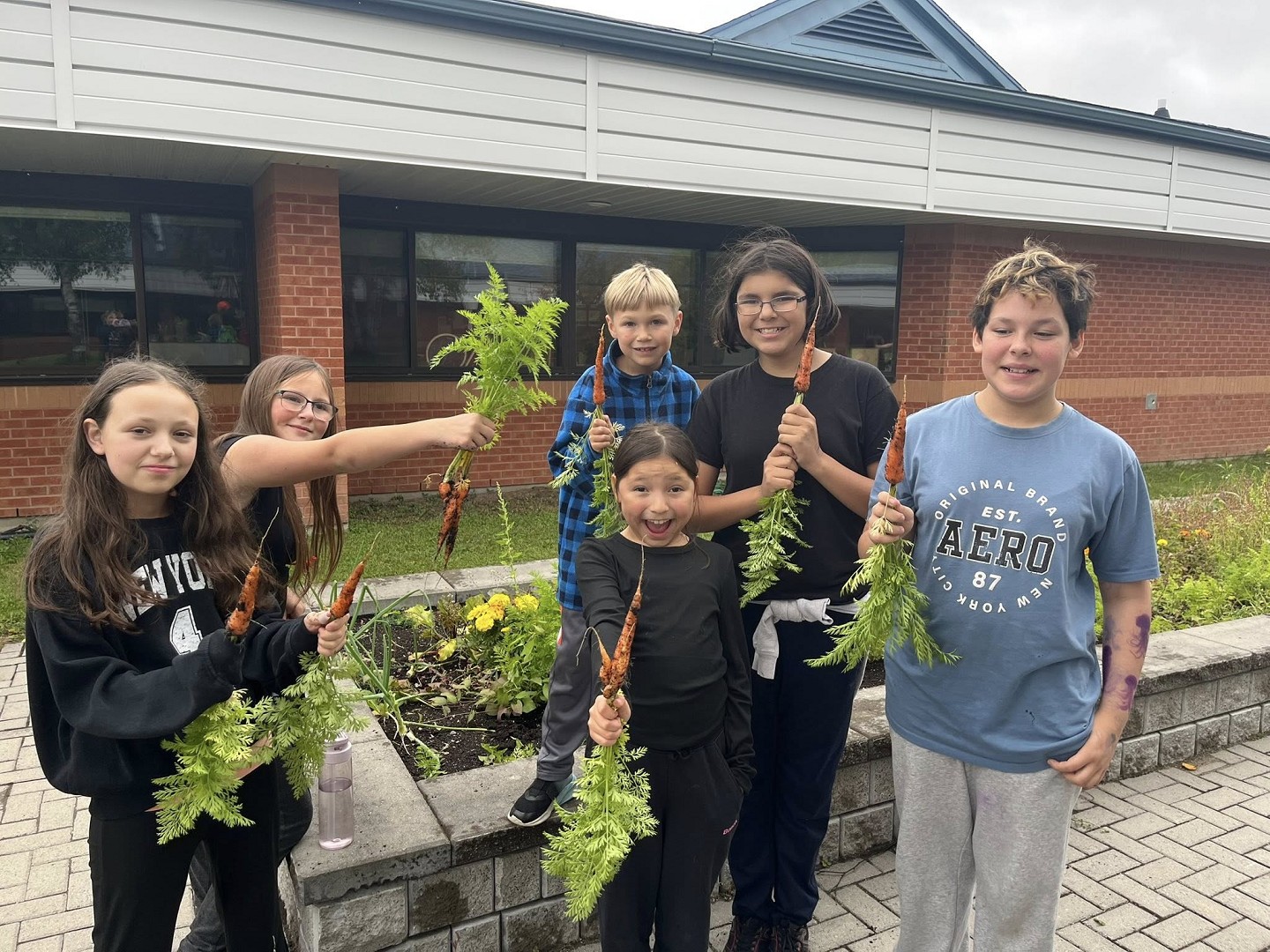 Students harvesting carrots
